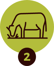 Step 2